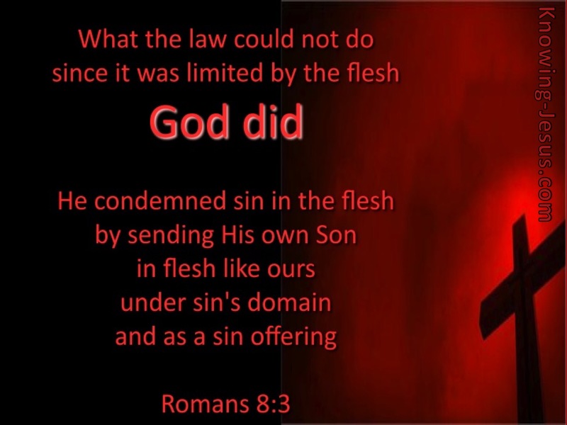 Romans 8:3 God Sent His Son (red)